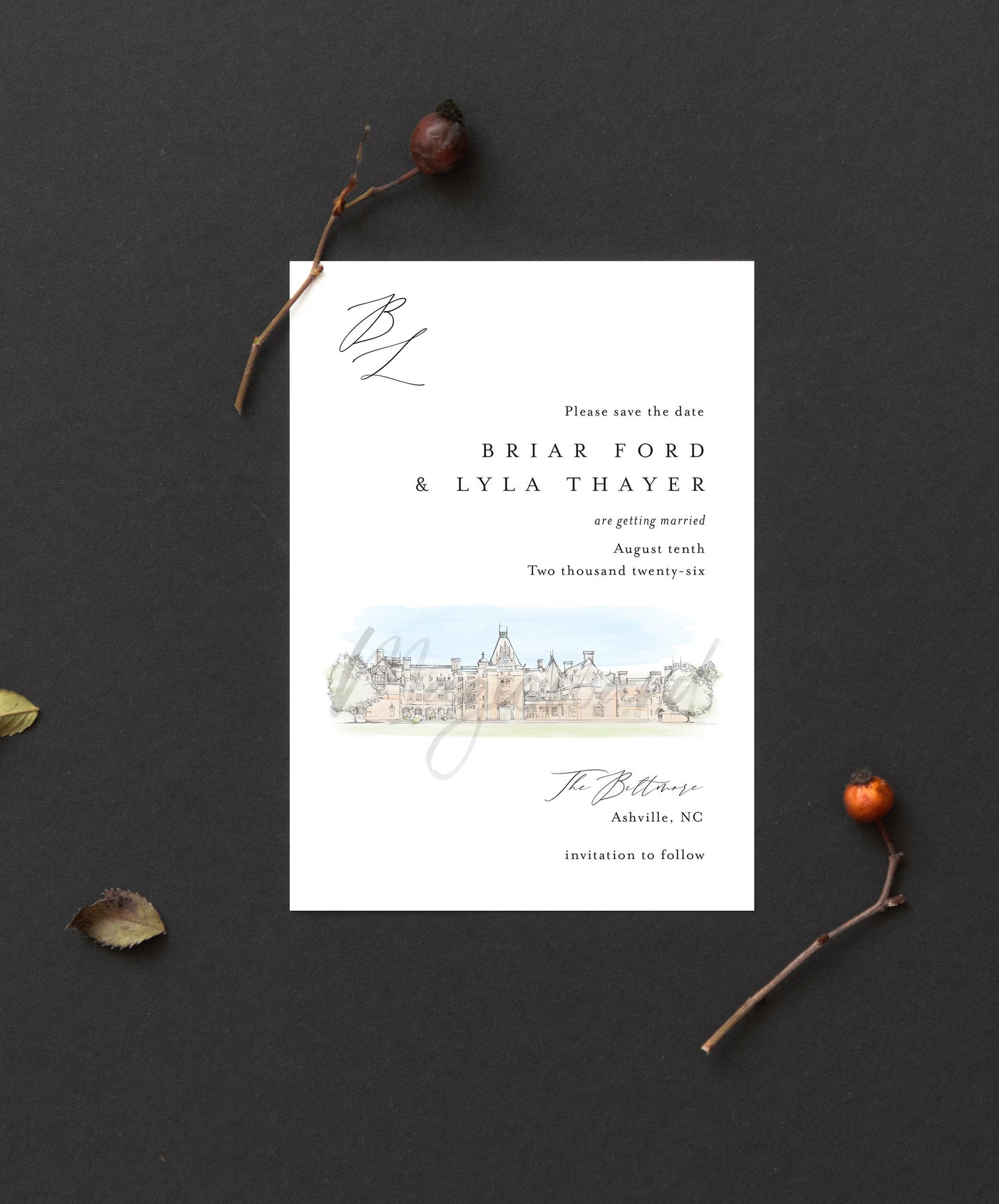 The Biltmore Estate, Asheville, NC Save the Date Cards, Wedding Save the Dates, STD, North Carolina Weddings (set of 25 cards and envelopes)