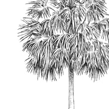 Load image into Gallery viewer, New! Palmetto Palm Guestbook Wedding, Alternative Guest Book, Charleston Wedding, Tree, Wedding Guestbook, Party Supplies, Bridal Shower
