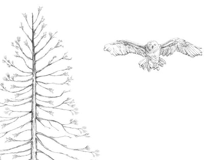 Pine Tree with Owl Signature Wedding Guest Book
