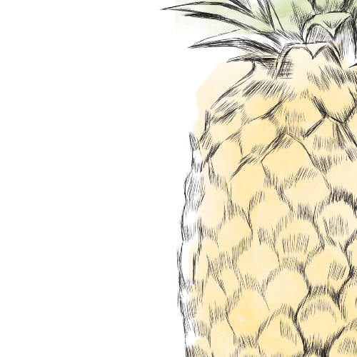 Pineapple Table Numbers, Hawaiian Themed Wedding, Beach  (1-10)