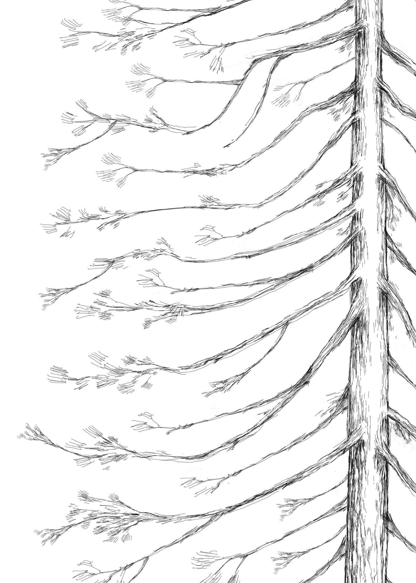 Guest Book Pine Tree Signature Guestbook, Unique Guest Book, Rustic Guest Book, Wedding Sign-in, Party Supplies, Guest Book Tree