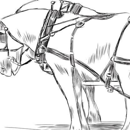 Bridal Shower Invitation Cinderellas Carriage, Bridal Luncheon, Cinderella Shower, Princess Carriage, Bridal Brunch, Fairytale Bridal Shower