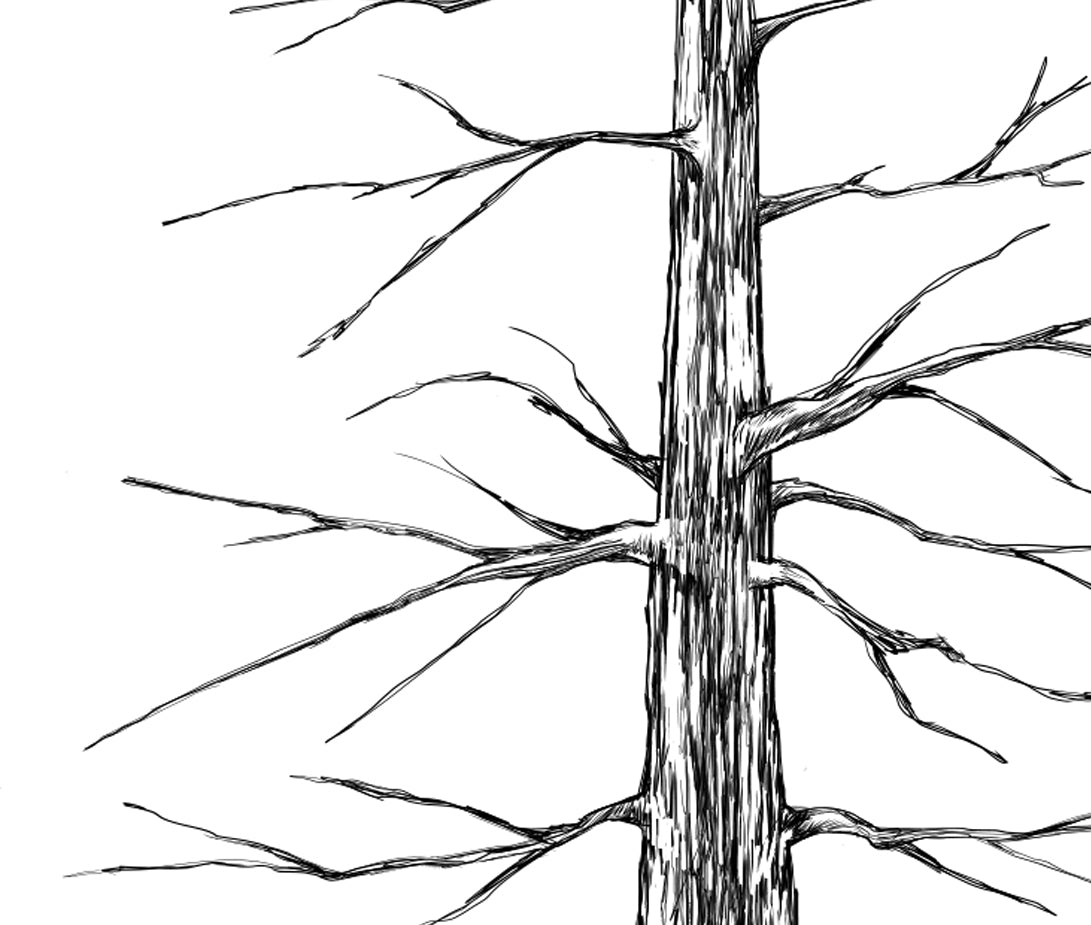 Guestbook Tree, Wedding Sign-in, Alternative Guest Book, Rustic Weddings, Boho, Guest book ideas, Pine Tree Guestbook ideas, Party Supplies